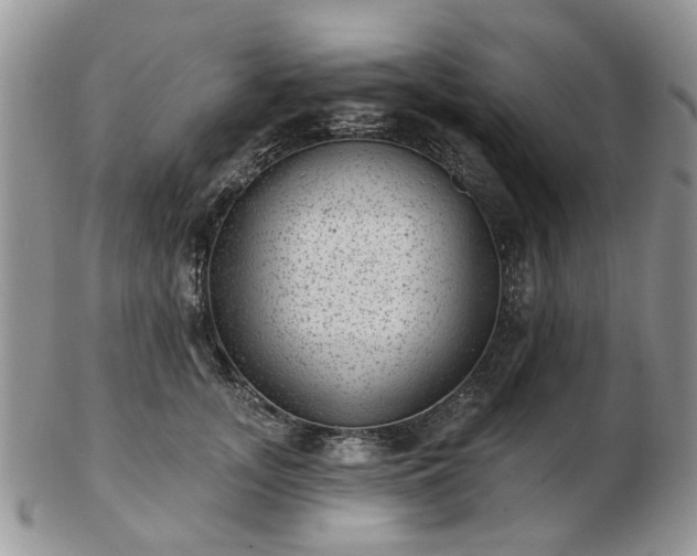 X0000102830755200808251133