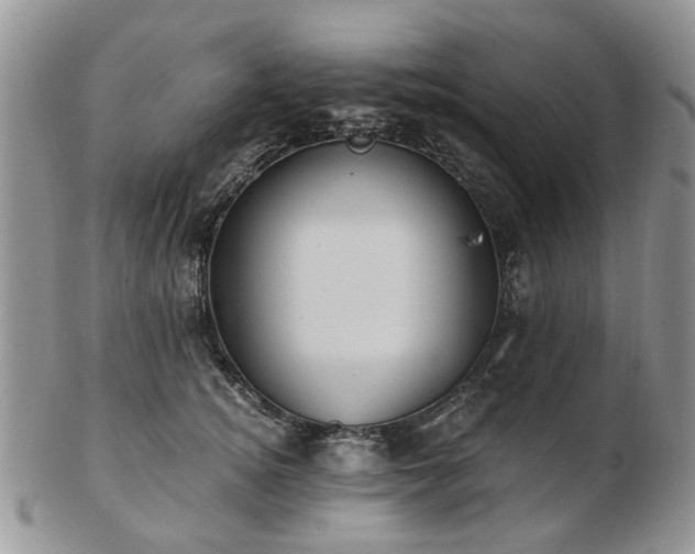 X0000102830756200808251133