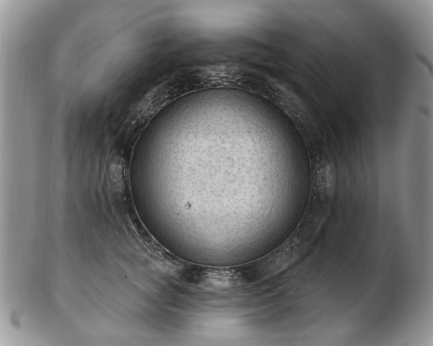 X0000102830757200808251133