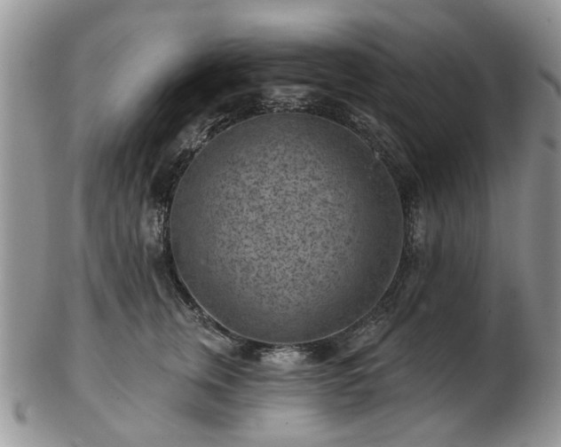 X0000102830759200808251133