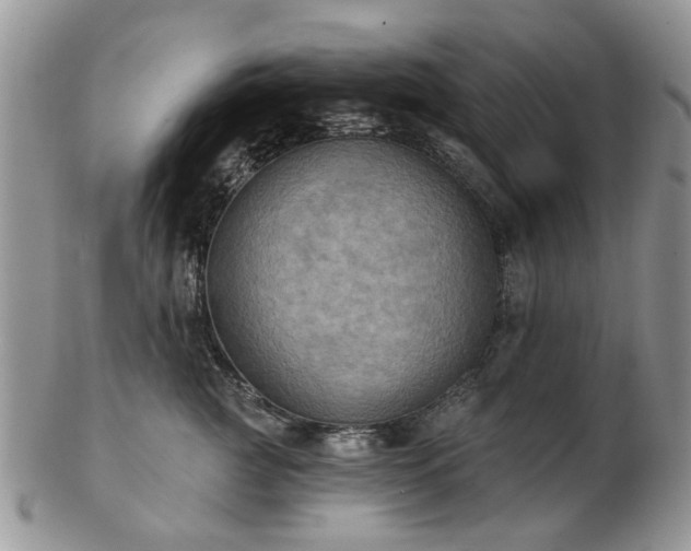 X0000102830761200808251133