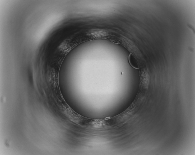 X0000102830762200808251133