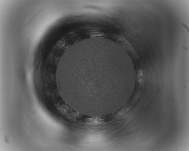 X0000102830763200808251133