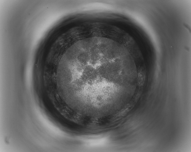 X0000102830765200808251133