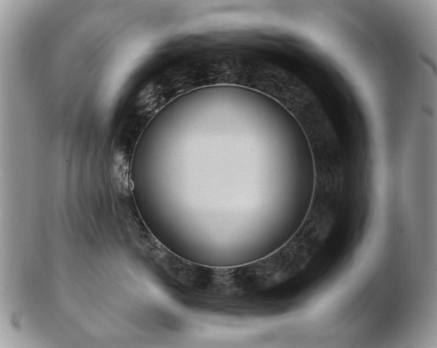 X0000102830766200808251133