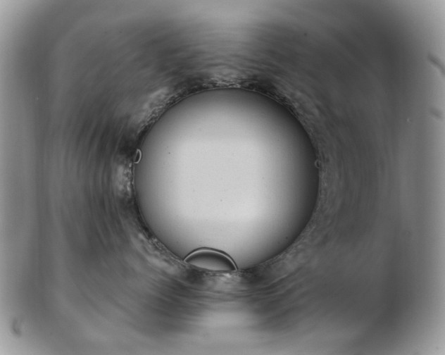 X0000102830768200808251133