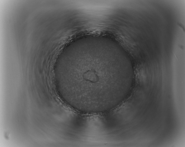 X0000102830769200808251133