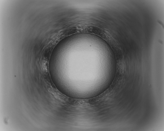 X0000102830770200808251133