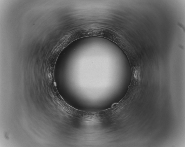 X0000102830771200808251133