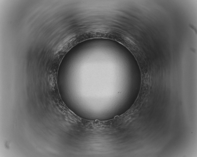 X0000102830774200808251133