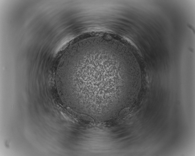 X0000102830775200808251133