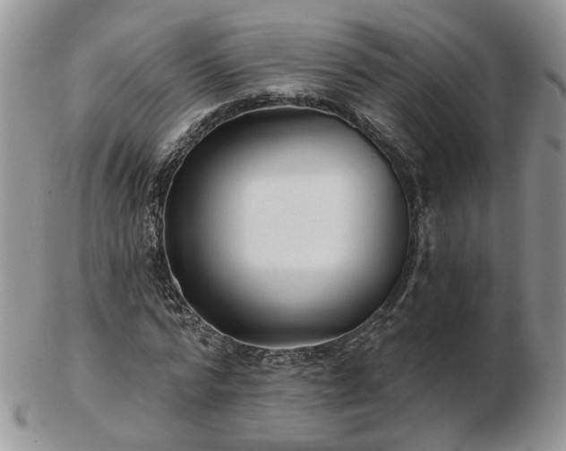 X0000102830776200808251133