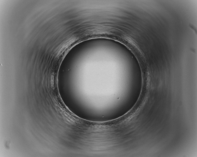 X0000102830777200808251133