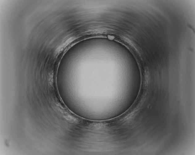 X0000102830778200808251133