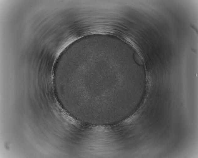 X0000102830779200808251133