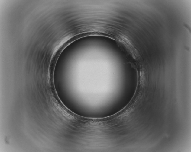 X0000102830780200808251133