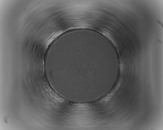 X0000102830781200808251133