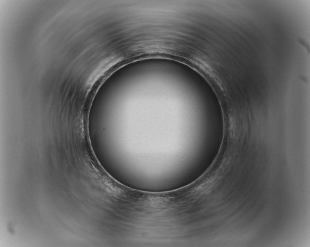 X0000102830782200808251133