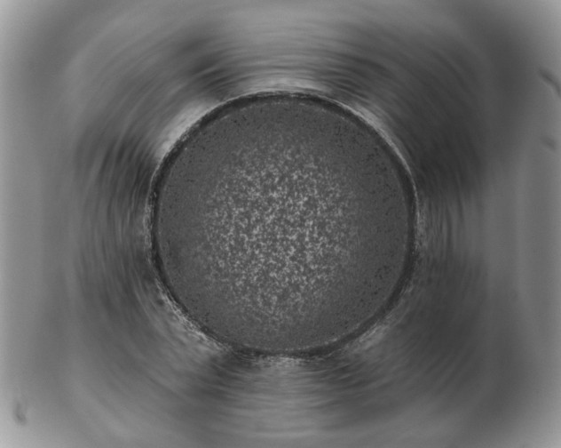 X0000102830783200808251133