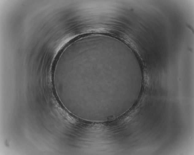 X0000102830784200808251133