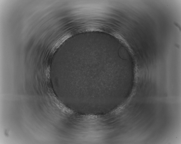 X0000102830785200808251133