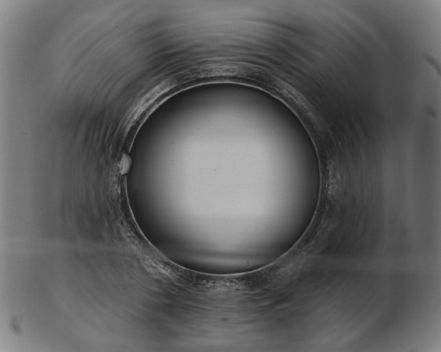 X0000102830786200808251133