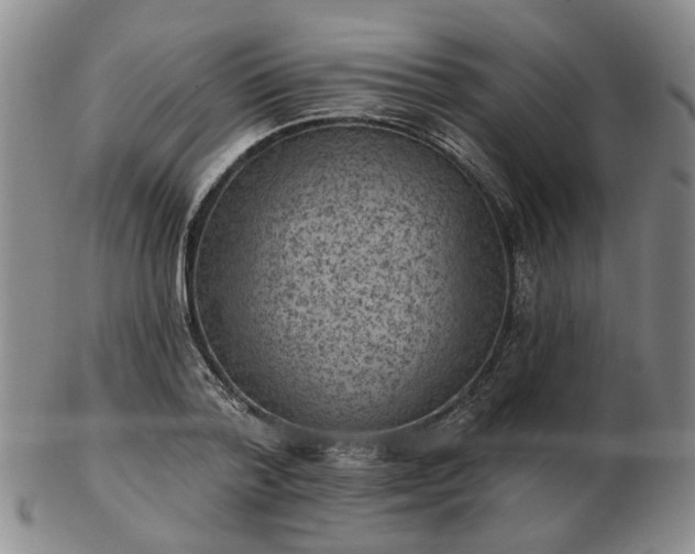 X0000102830788200808251133