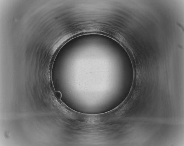 X0000102830789200808251133