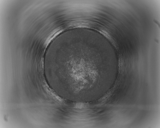 X0000102830790200808251133