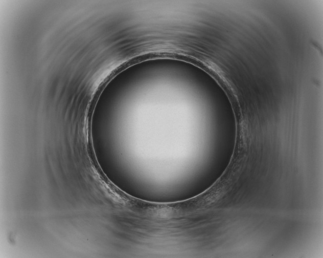 X0000102830791200808251133