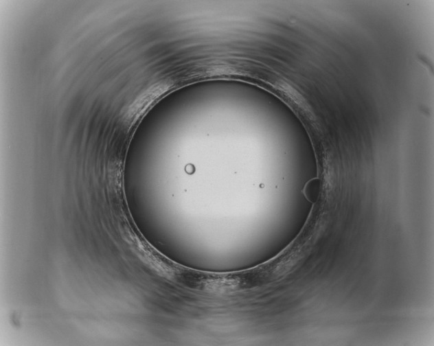 X0000102830793200808251132