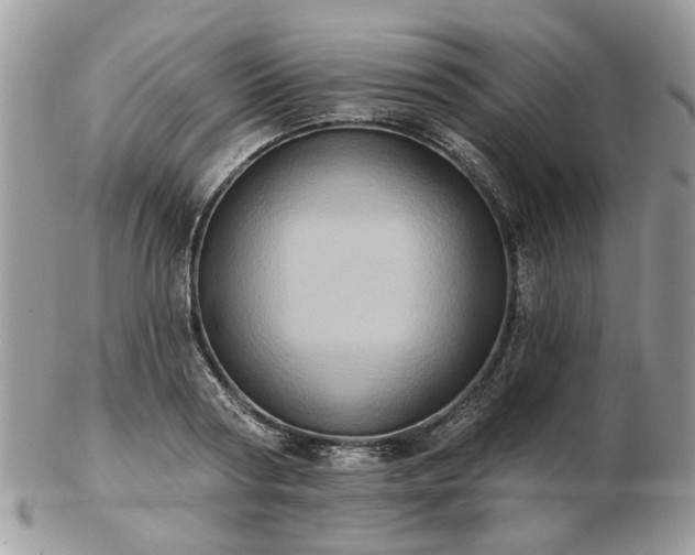 X0000102830794200808251132