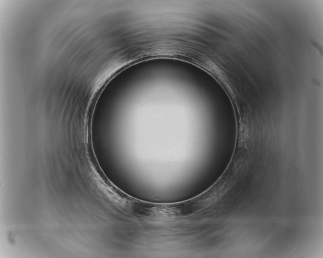 X0000102830795200808251132