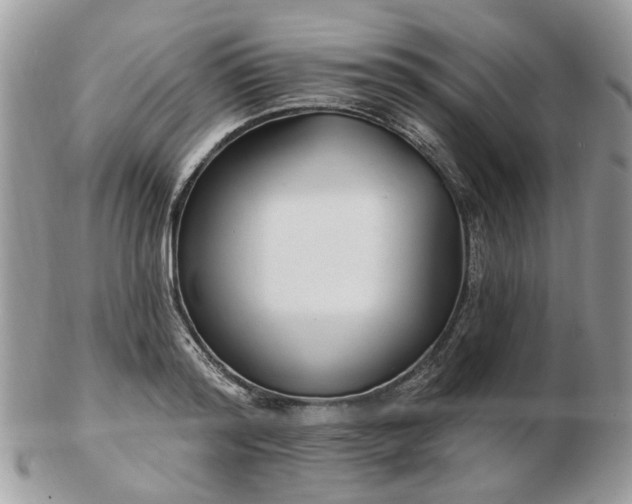 X0000102830796200808251132