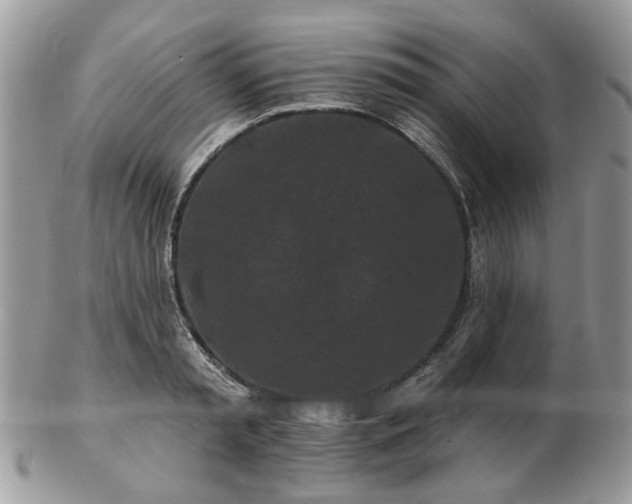 X0000102830797200808251132