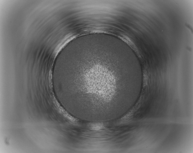 X0000102830798200808251132