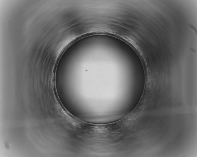 X0000102830799200808251132