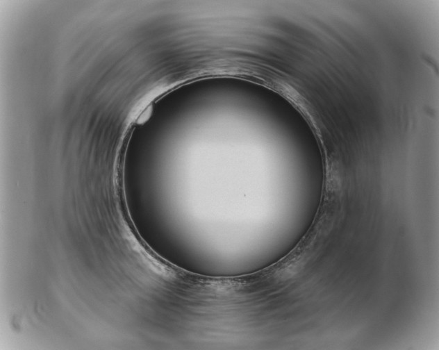 X0000102830803200808251132