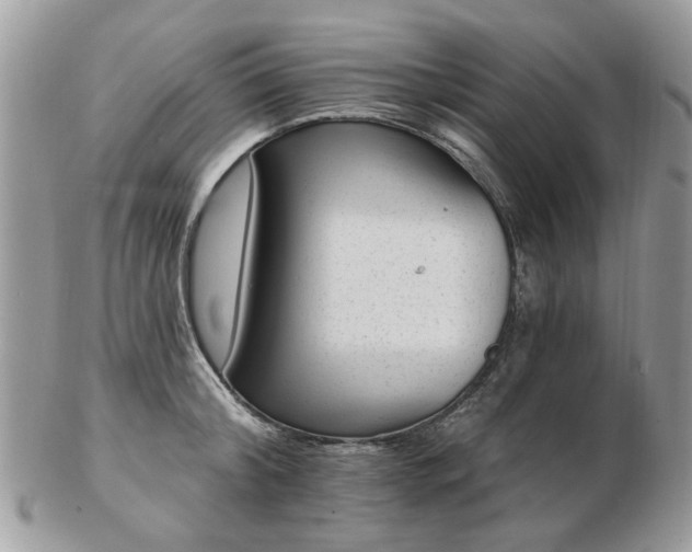 X0000102830804200808251132