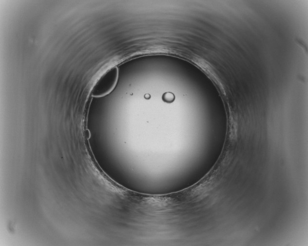 X0000102830805200808251132