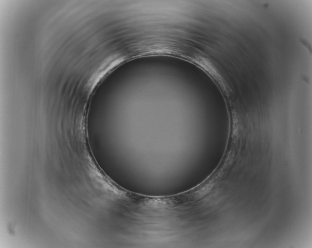 X0000102830806200808251132