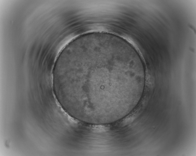 X0000102830807200808251132