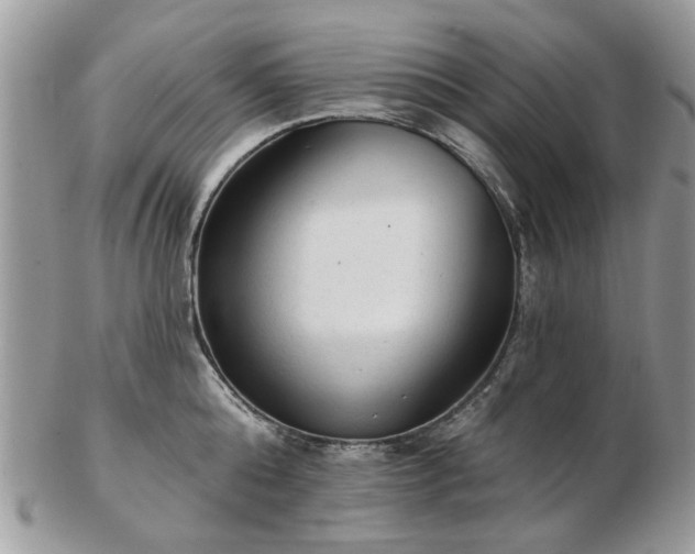 X0000102830808200808251132