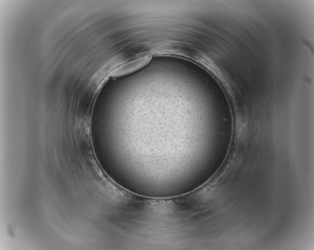 X0000102830809200808251132