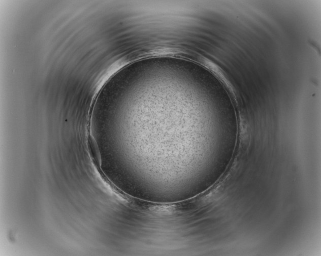 X0000102830810200808251132