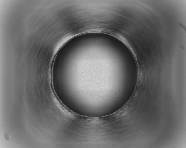 X0000102830811200808251132