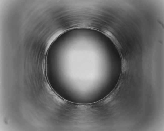 X0000102830812200808251132