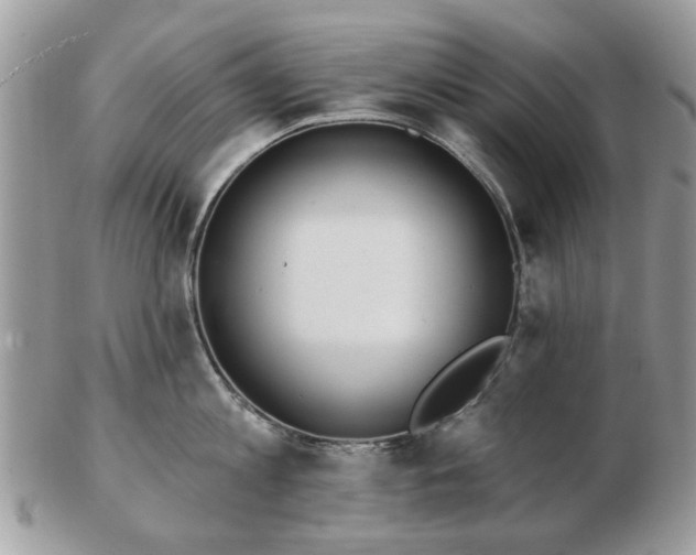 X0000102830813200808251132