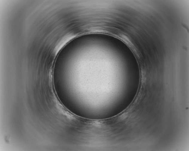 X0000102830814200808251132