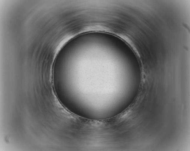 X0000102830815200808251132